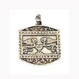 Protect from Accidents amulet