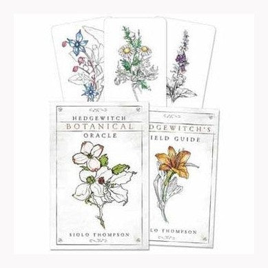 Hedgewitch Botanical oracle by Siolo Thompson
