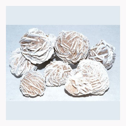 1 lb Desert Rose