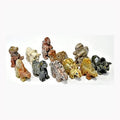 (set of 12) Dinosaurs collection