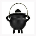 Caldero de hierro fundido liso con tapa de 2 3/4"