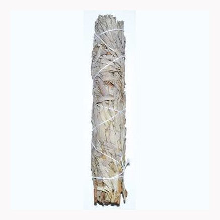 9" White Sage smudge stick (white sage)